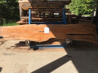 Maple Slab 57257